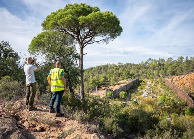 Natural environment_reforestation